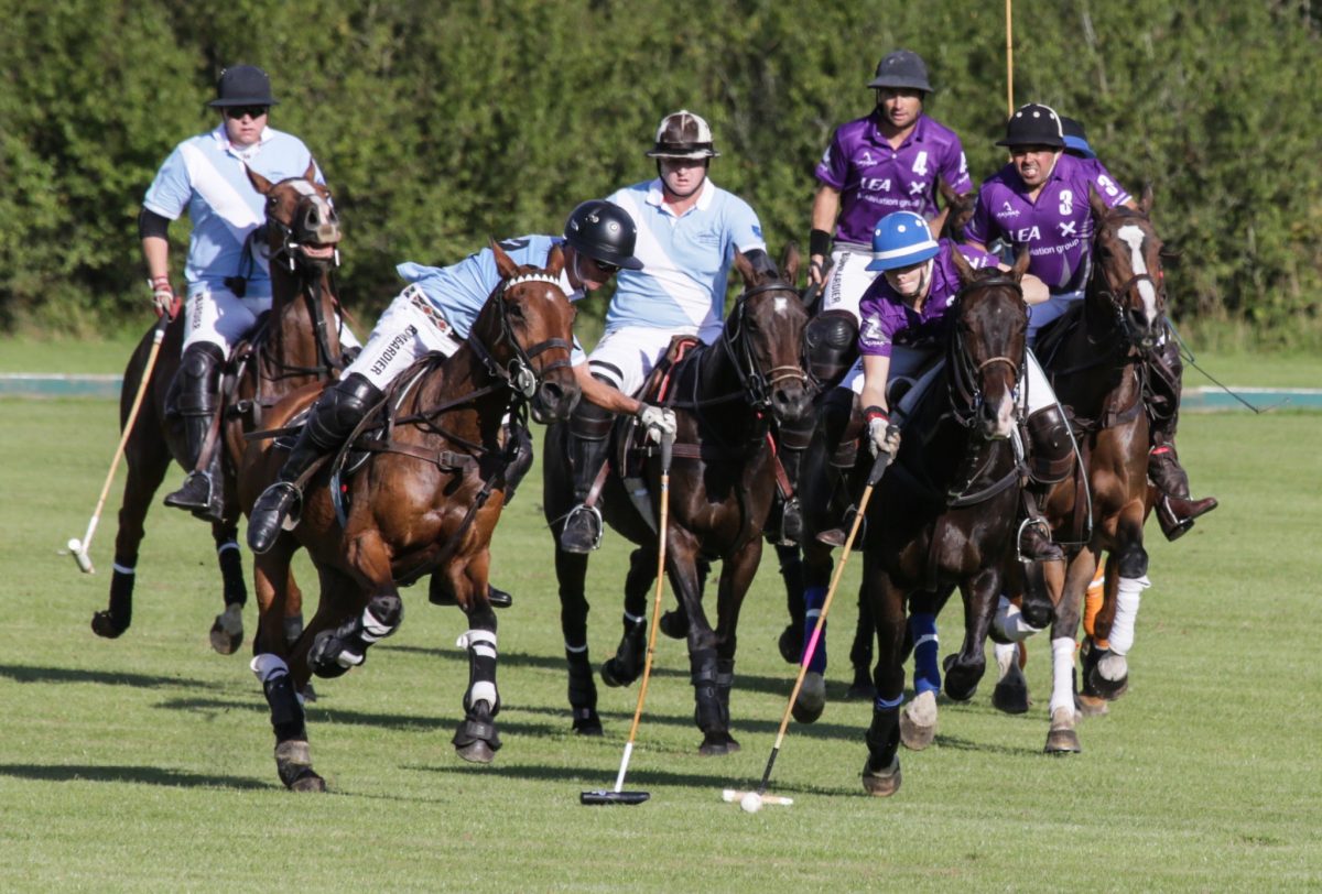 Polo Club Membership membership options at Hurtwood Park Polo Club