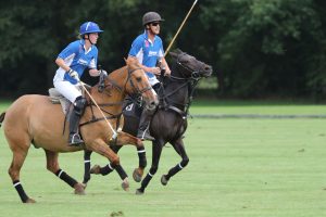 Polo in action