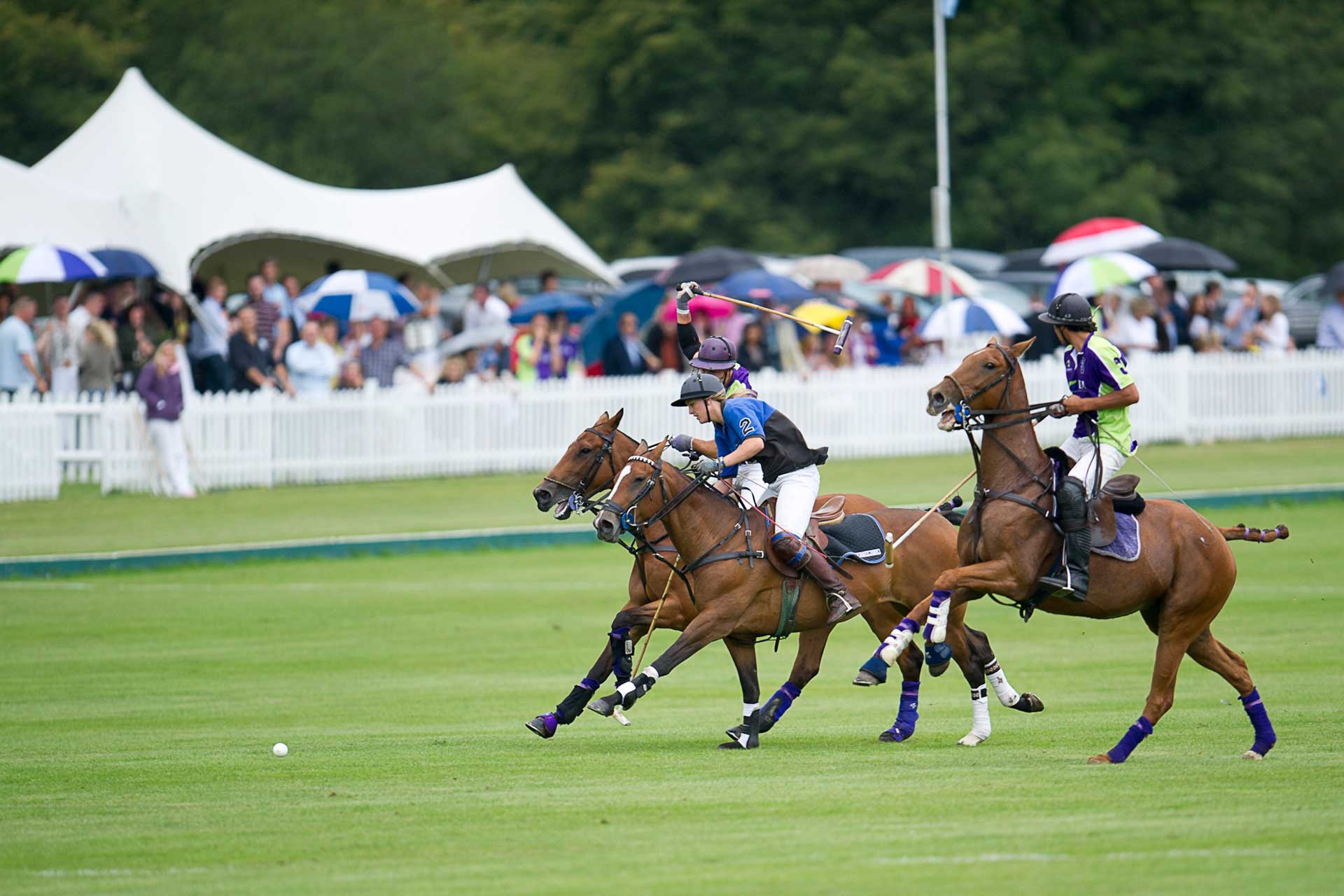 Polo as a corporate activity at Hurtwood Park